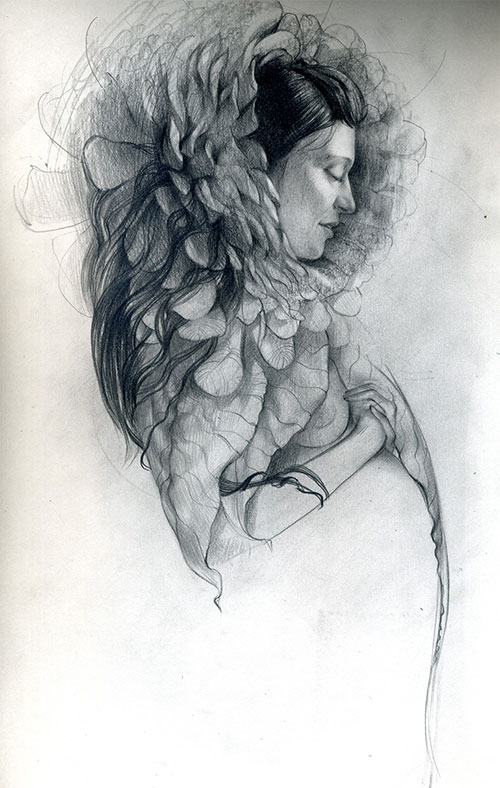 The graphic artist Elizaveta Pastushenko. Artwork. Picture. Drawing. Graphic arts. Composition. Chrysanthemum from the series Women and Flowers. 2007, 42 x 30 cm, paper pencil